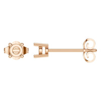 EA-0839 Rose Gold Earrings UNSET - Main View