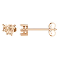 EA-1461 Rose Gold Earrings UNSET - Main View