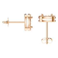 EA-1909 Rose Gold Earrings UNSET - Back View