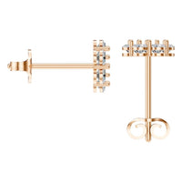 EA-2903 Rose Gold Earrings SET - BACK