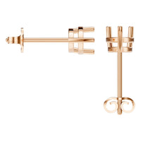 EA-4291 Rose Gold Earrings UNSET - BACK