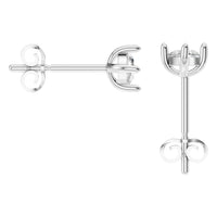 EA-9917 White Gold Earrings SET - Back View