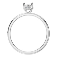 RI-1737 White Gold Ring SET - Top View