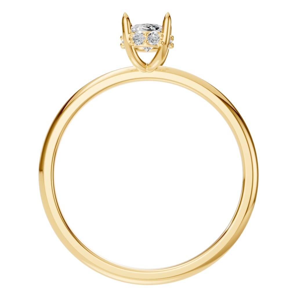 RI-1737 Yellow Gold Ring SET - Top View