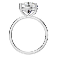 RI-1979 White Gold Ring SET - Top View