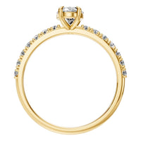 RI-4945 Yellow Gold Ring SET - Top View