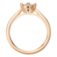 RI-6525 Rose Gold Ring SET - Top View